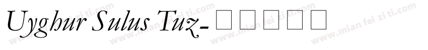 Uyghur Sulus Tuz字体转换